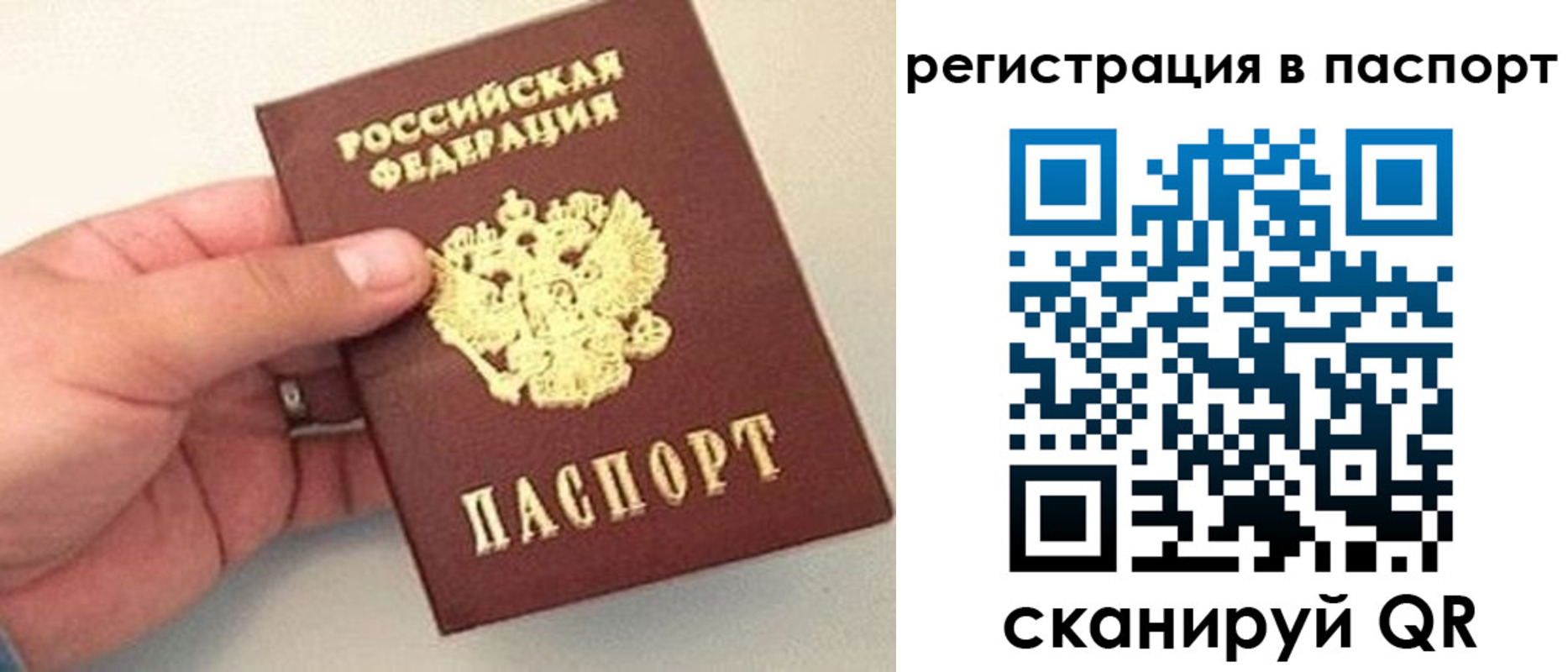 прописка законно в Донецке